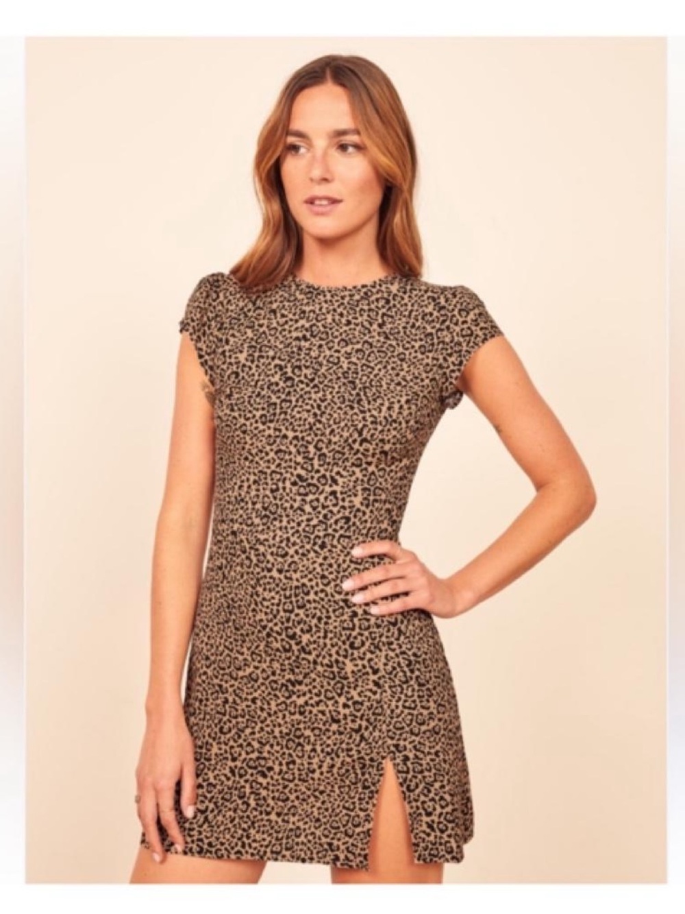 Reformation Leopard Print Cap Sleeve Mini Dress in Tan and Black